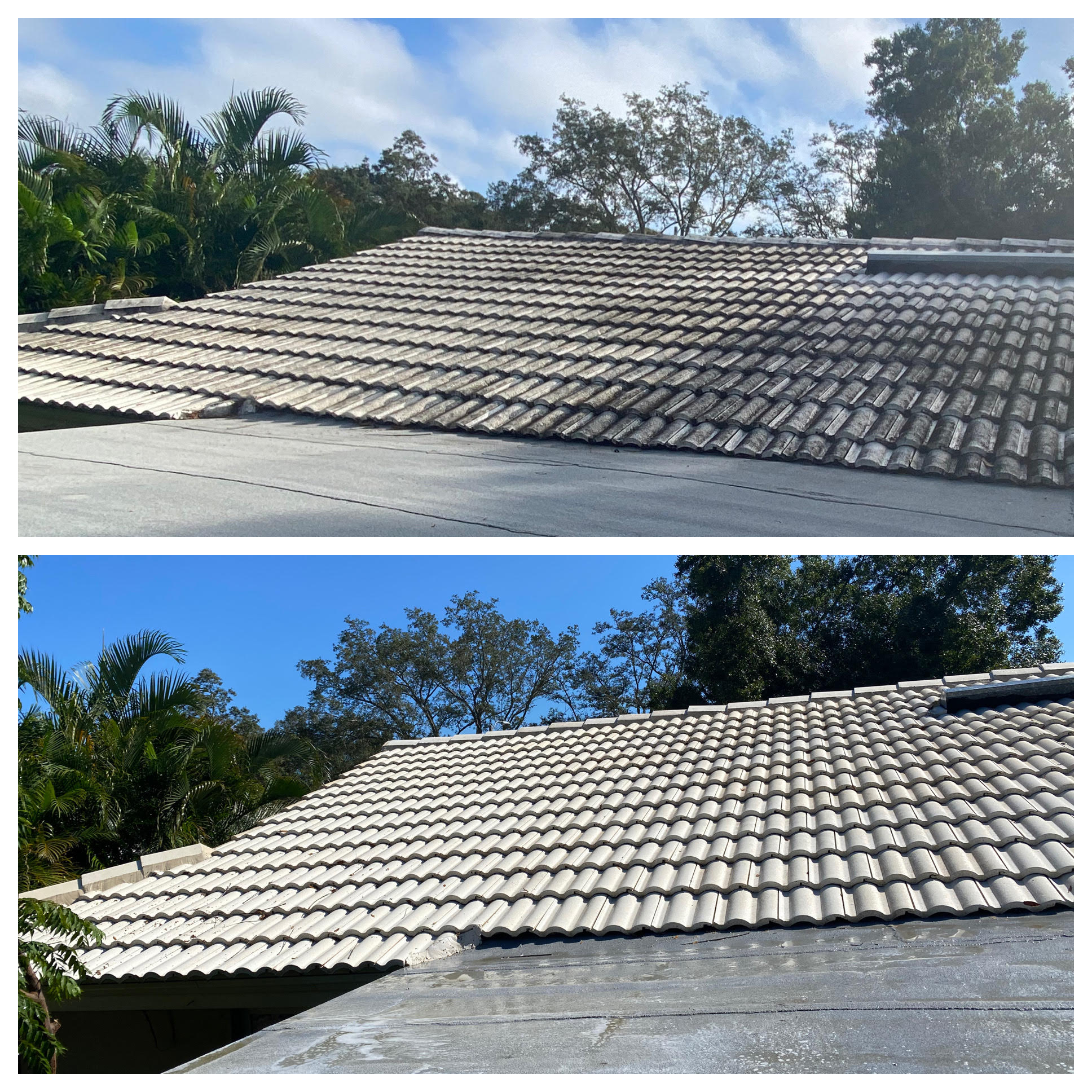 Roof Cleaning tampa florida