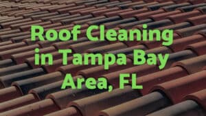 Roof Cleaning Tampa Bay Area, FL